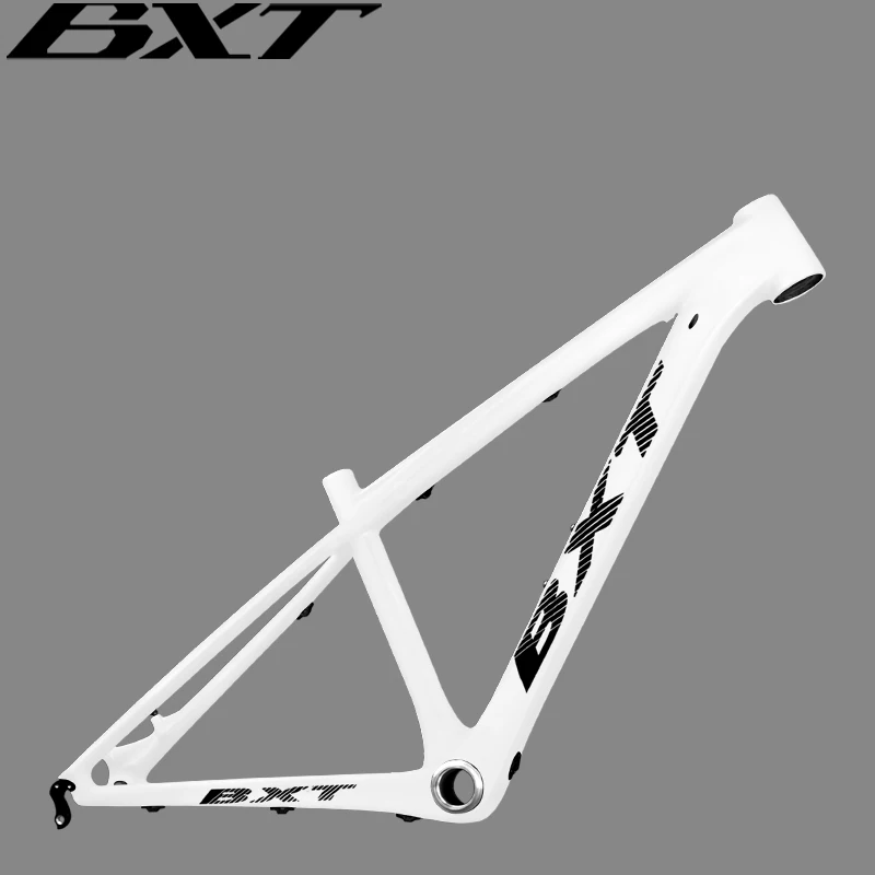 Telaio BXT Mountain Bike 26" per ragazzi, Full Carbon, Disco 160mm