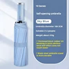 10K Automatic Umbrella(Sky Blue)