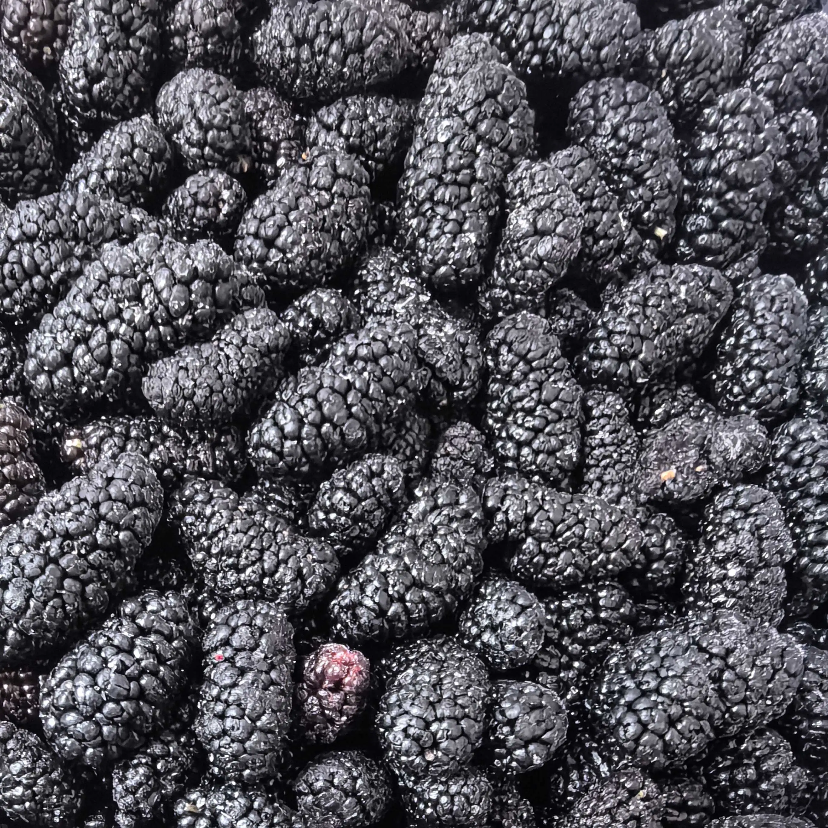 product wholesale frozen mulberry cheap bulk passed new crop brine preserved whole frozen mulberry-3
