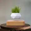 madera clara