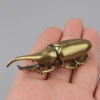 Big worm