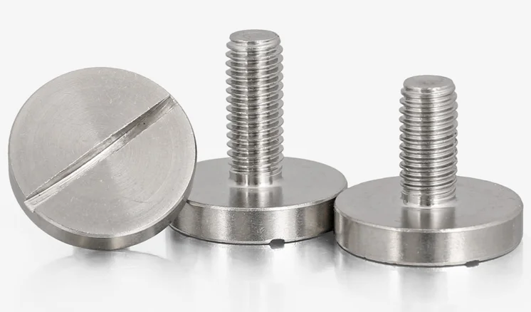 M2 M3 M4 M5 M6 M8 M10 DIN 921 Stainless Steel 304 Slotted Pan Head Screws with Large Head