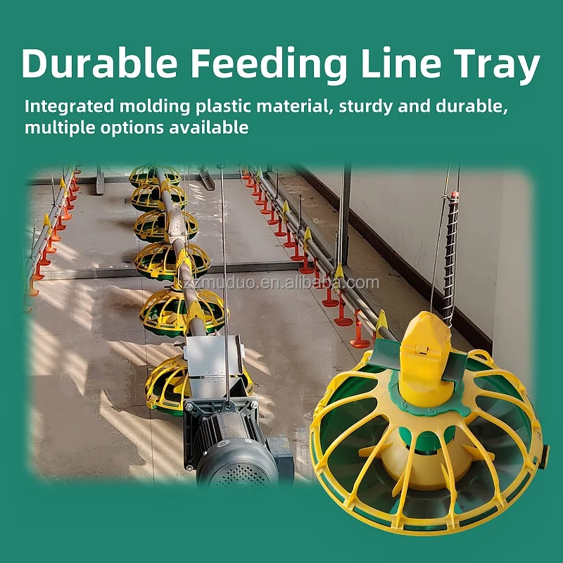 Automatic Chicken Poultry Farm Feeding Line Equipment Conveyor Chicken Food Feeding System