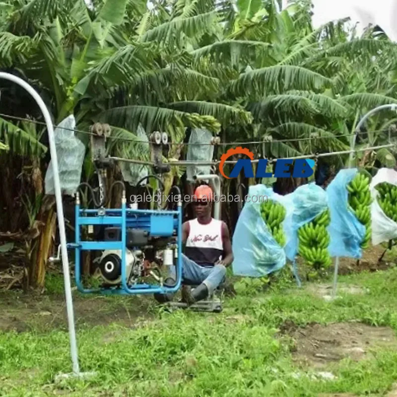High Productivity Banana Rail Conveyor - Ropeway Transport