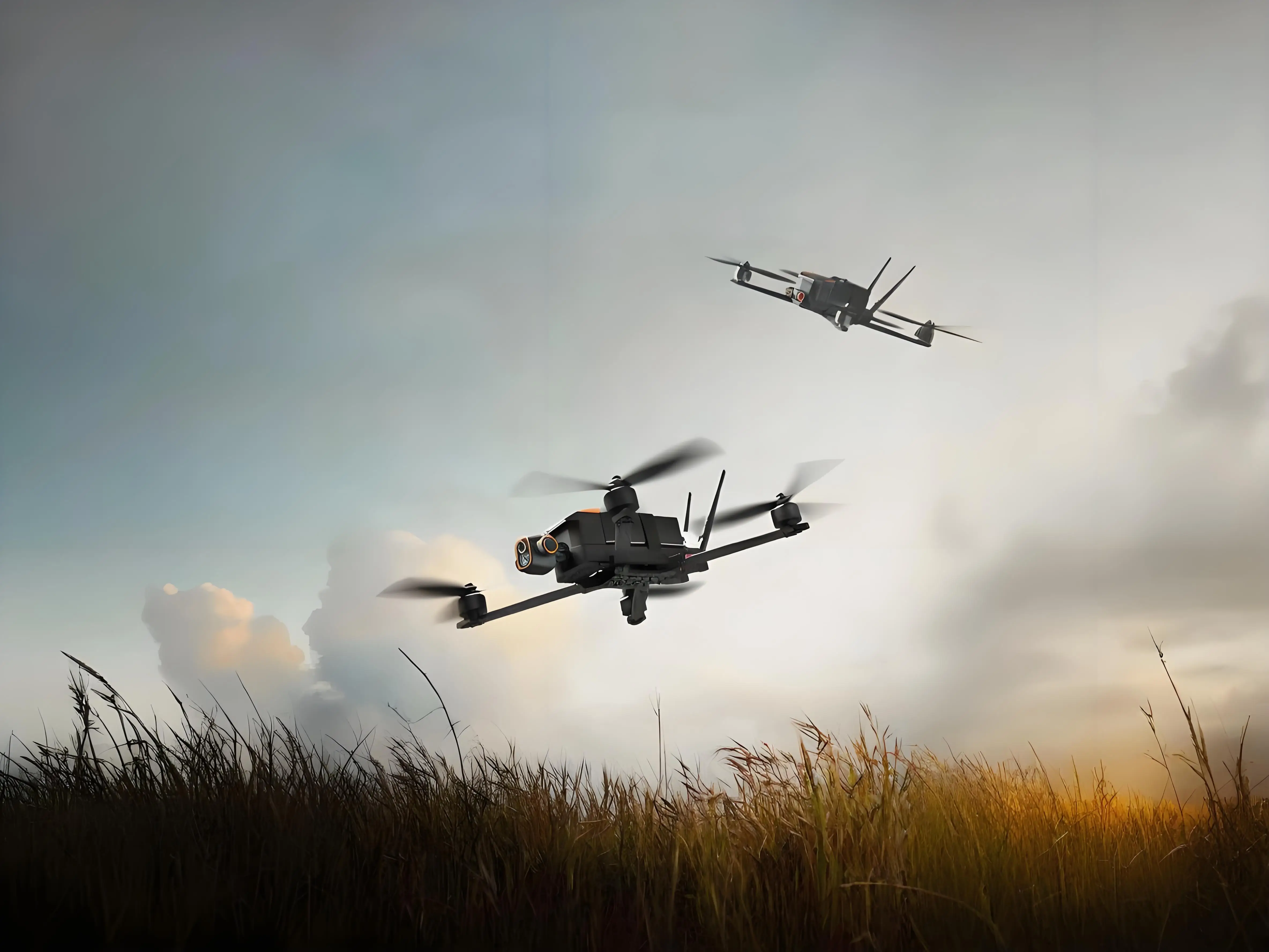 D300 fpv drone image