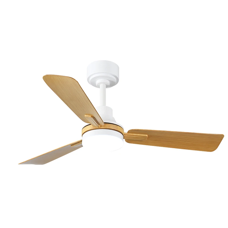 Teyong na Direct Ceiling Fans na may Ilaw at Remote Dimmable 3CCT Reversible BLDC Motor ABS Blades para sa Silid at Living Room