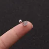 No.14 Plata