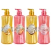 Brillance Lumineuse