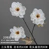 Branche de lotus des neiges blanche à trois têtes