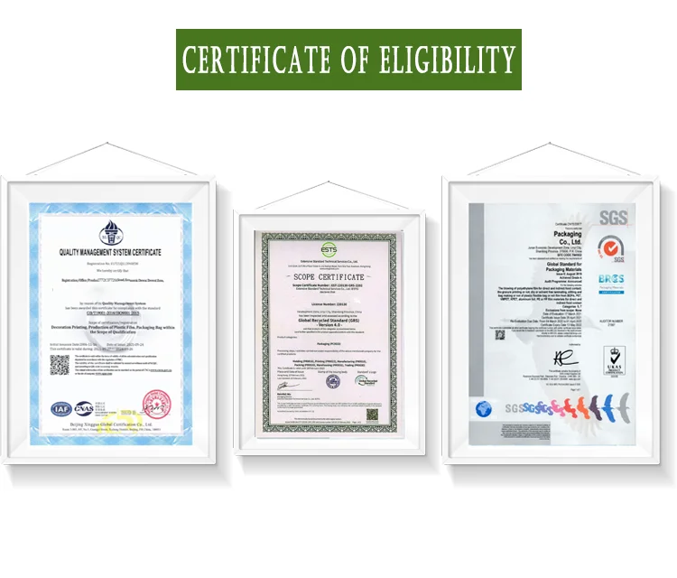 Custom Biodegradable Dog Food Bag With Resealable Zipper Dog Treat And