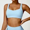 Light Blue Bra