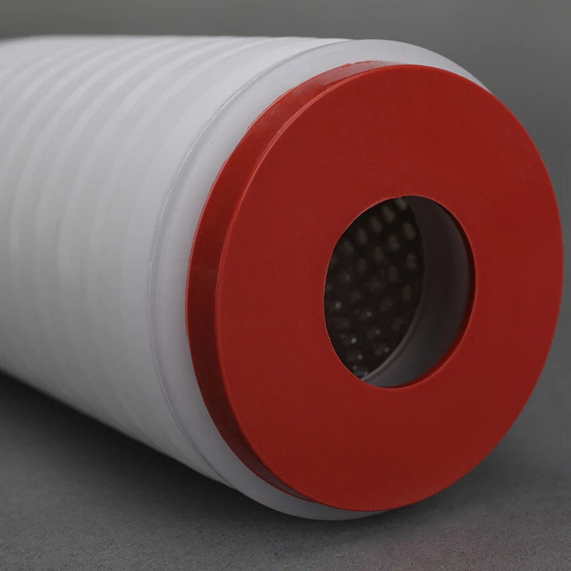 10" Efficient Aseptic Filtration Hydrophilic Ptfe Membrane Filter