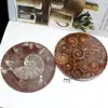 Ammonite Fossil Disc