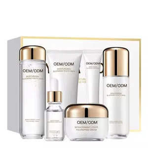 Wholesale Anti-Aging Skin Care Set for Face Hydrating Moisturizing Reducing Wrinkles Acne and Fine Lines