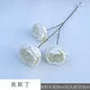 Austin WD White