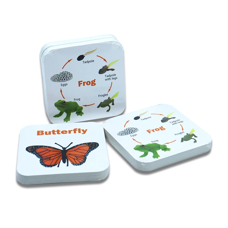 Customized Printed Flash Cards Full Color Learning Card Kids Manufacture Pattern English Learning Cards Phonic Flashcards