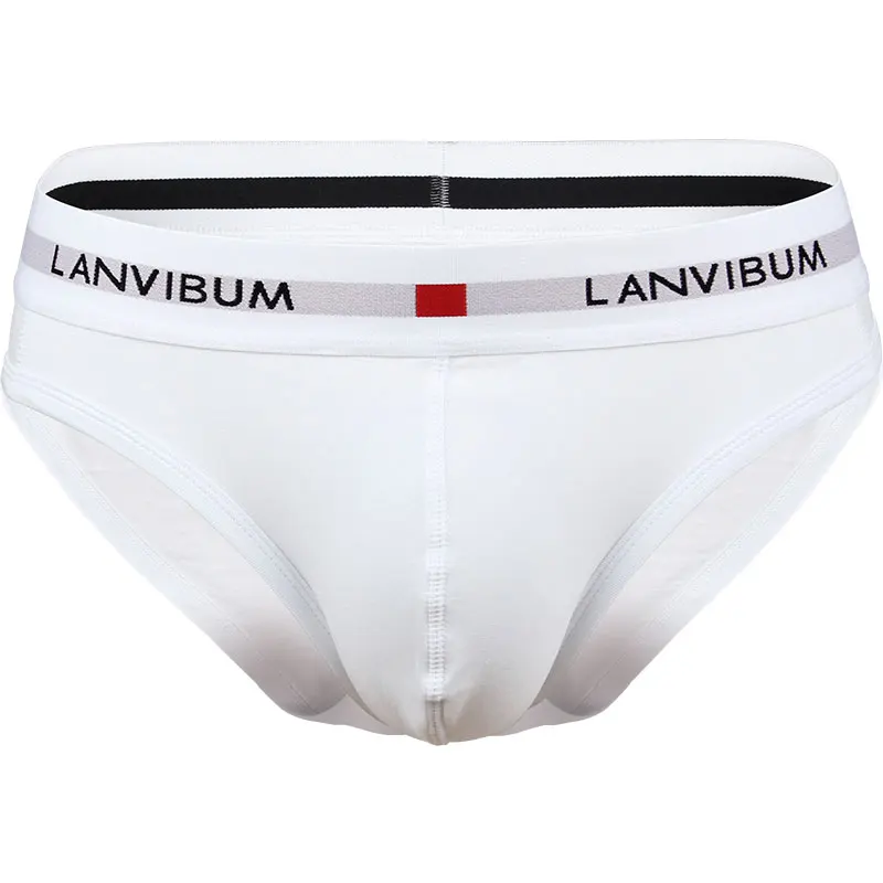 Lanvibum Underwear Sexy Panty Cotton Calzoncillos