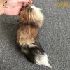 Solar fox