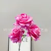 Rosas serigrafiadas