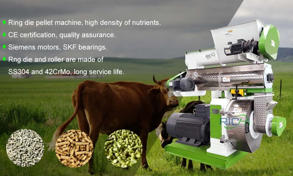 Richi 140 T/h Grains Grass Alfalfa Hemp Feed Pellet Production Line