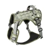 Camuffamento aggiornato