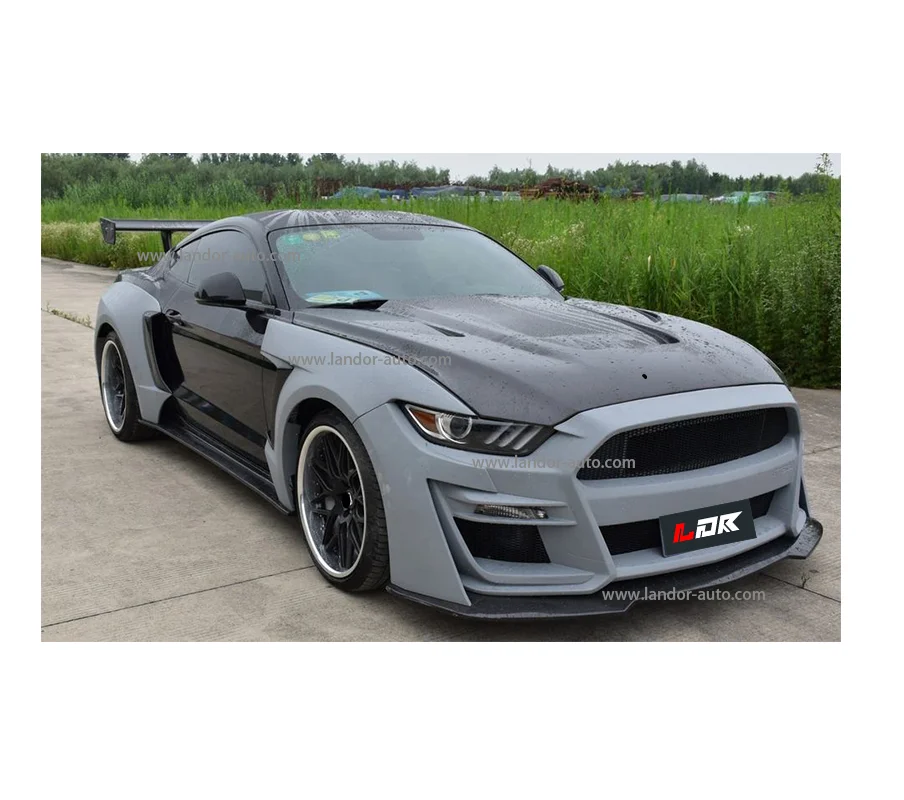 Ldr High Quality Car Body Kit Manufacturer Car Grills Fog Light Frame