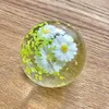 daisy-Coconut oil handmade ball(6cm