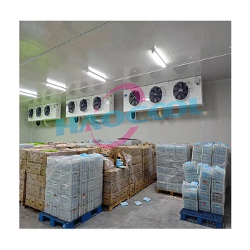 Competitively Priced Cold Storage Freezer Room with Copeland Compressor for Farm and Restaurant Industries