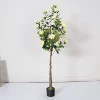 Giallo 150 cm staccabile