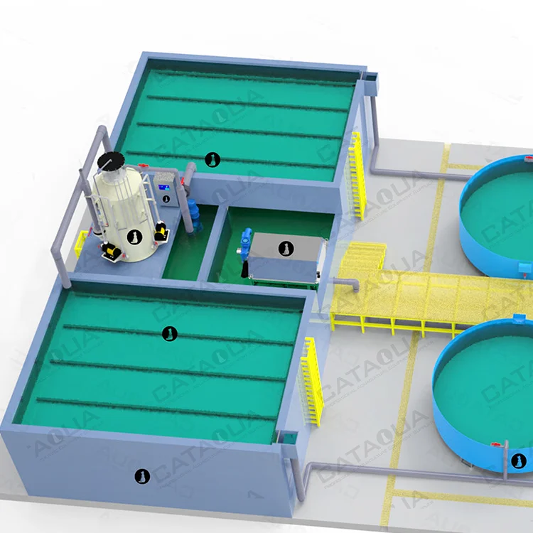 CATAQUA Fresh Water Bass Indoor Fish Farm Ras Fish Farming System  Aquaculture Machine