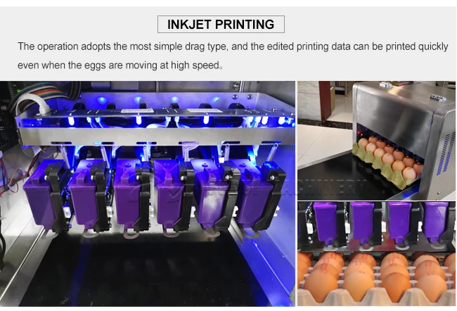 Automatic carton coding machine eggs number inkjet printer/egg printer machine