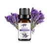 Aceite Esencial de Aromaterapia de Lavanda 10ML