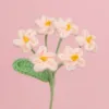 Finished product6First Myosotis sylvatica bouquet (Korean pink)