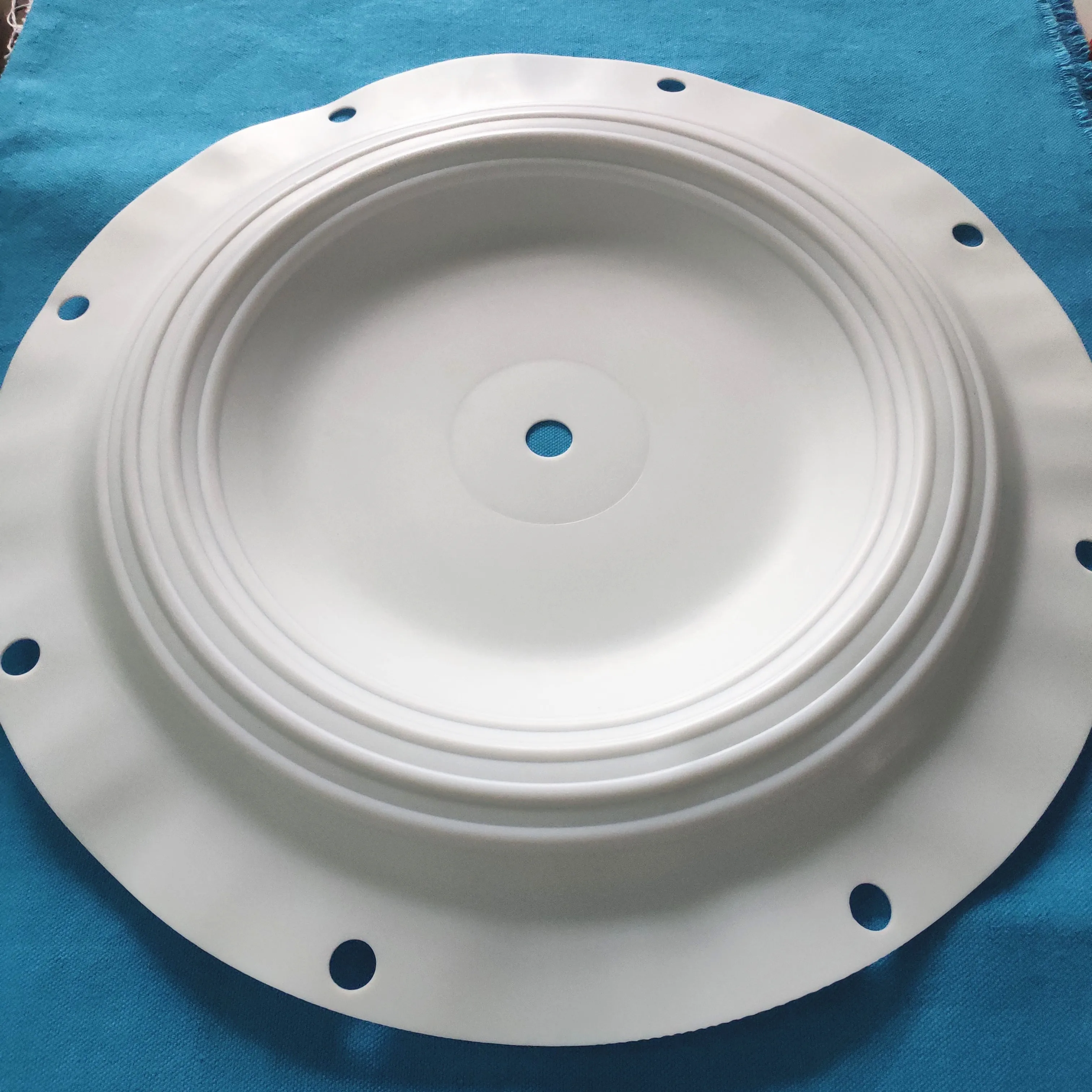 CF286.098.604 Diaphragm manufacture