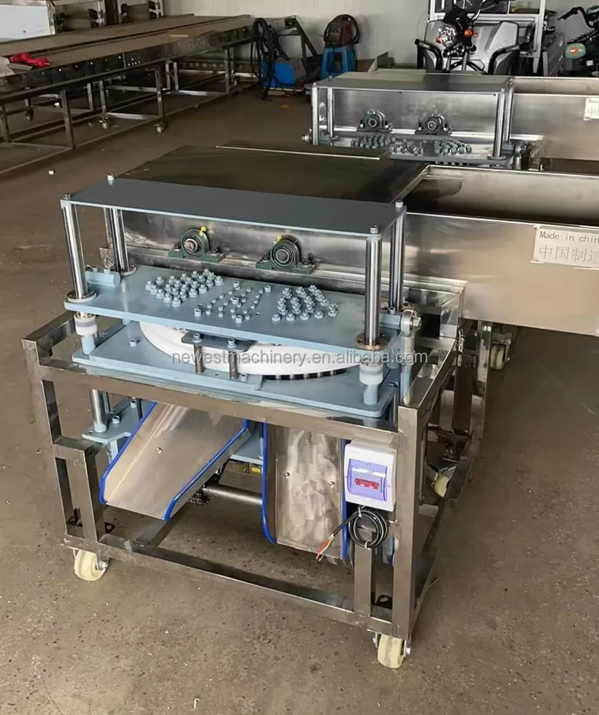 Efficient Dates Pitter - Fresh Olive Seed Removal Machine