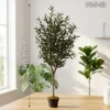 150cm Single Trunk Artificial Olive Tree