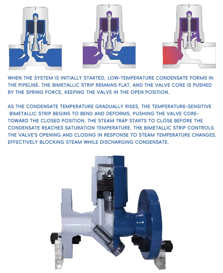 513F Carbon Steel Thermostatic Steam Trap Valve DN15 PN20 Flange Steam Trap for General Application manufacture
