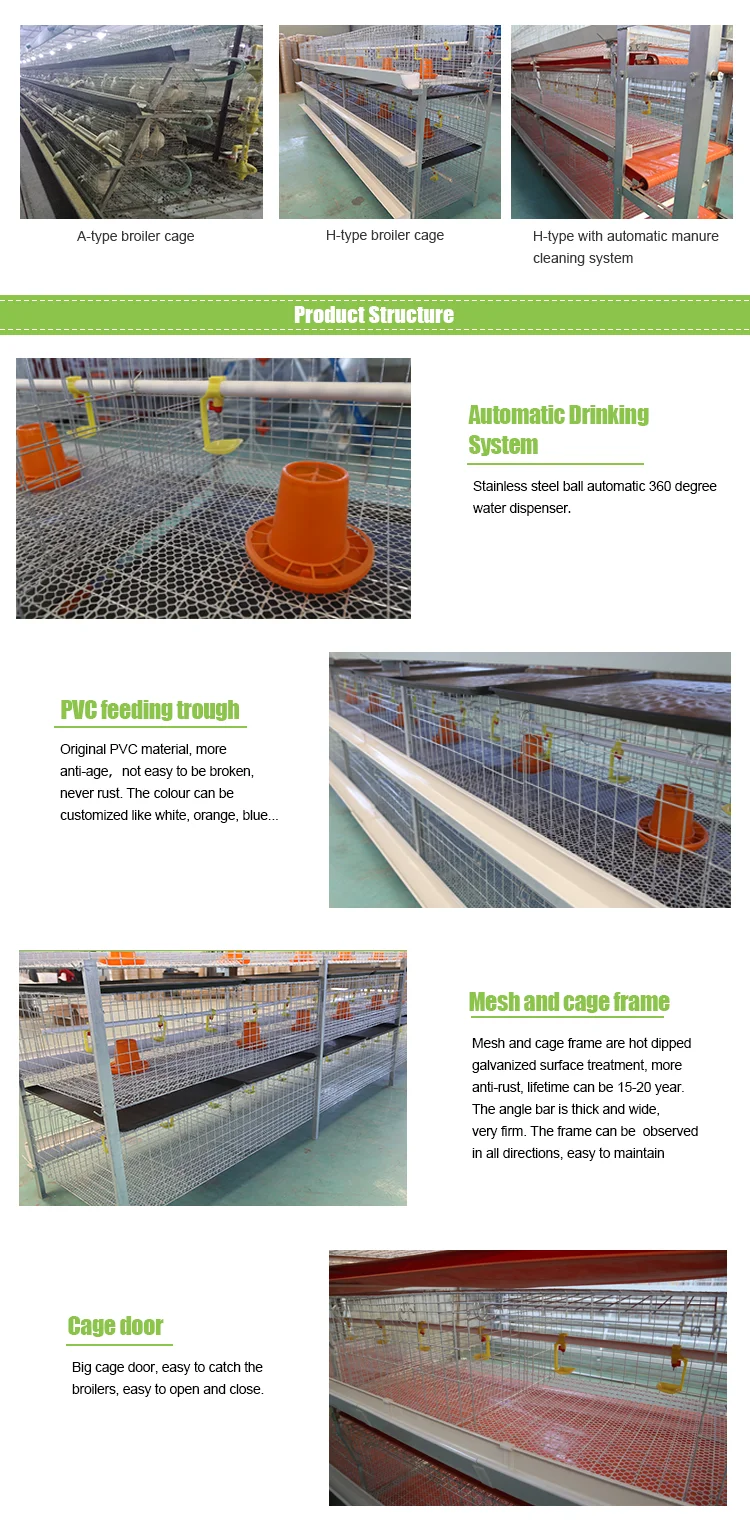 Philippines Zambia Commercial Poultry H Type Manual Meat Broiler