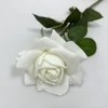 สีขาว