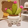 Cactus en flor-30cm