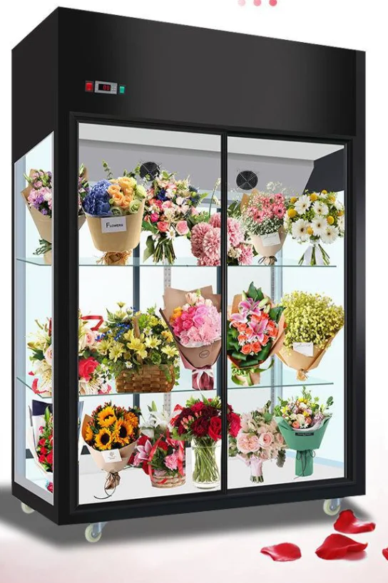 Morden Style Shop Refrigeration Equipment Refrigerated Showcase Display