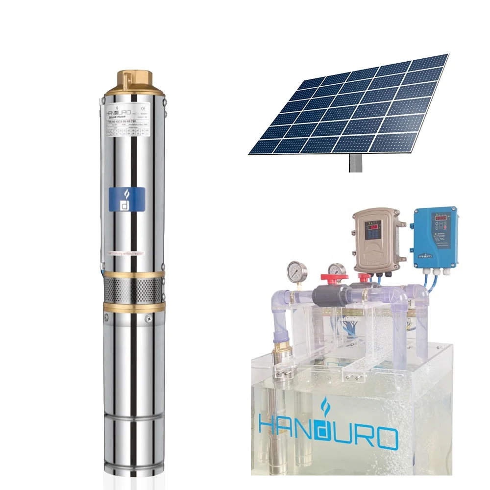 Water Pumping Machine Agriculture Pompe Solaire 110Volt DC Solar Pump Set Agriculture System Water DC Solar Pump