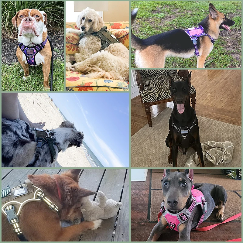 Wedtex Wholesale Amazon Hot Selling Neoprene Adjustable Pet Harness