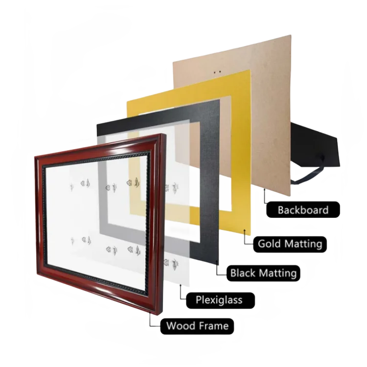 Diploma frame showing glass cover and mat board