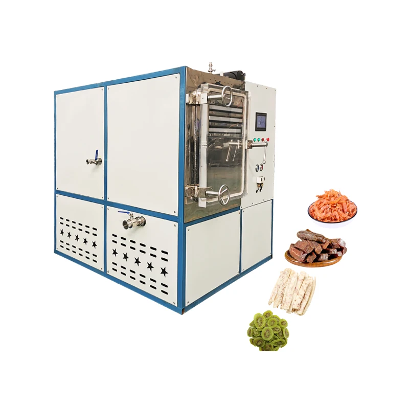 Joyshine Freeze Dried Dry Freezer Freeze-Drying Meat Freezer