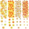 Yellow series