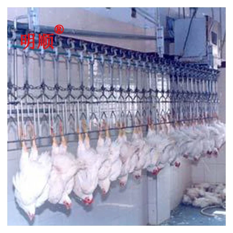 Best Quality Turkey Slaughtering Machine Chicken Process Slaughter Line Slaughtering Equipment