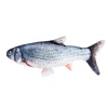 Carp
