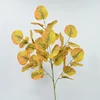 Giallo