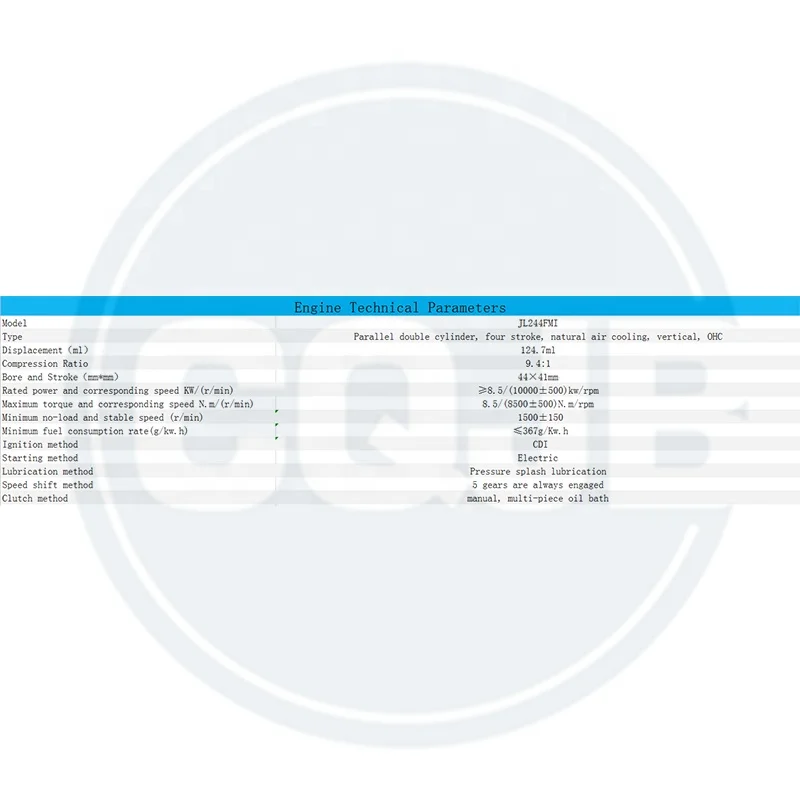 CQJB High Quality Motorcycle Engine JL244FMI Motorcycle Engine Assembly